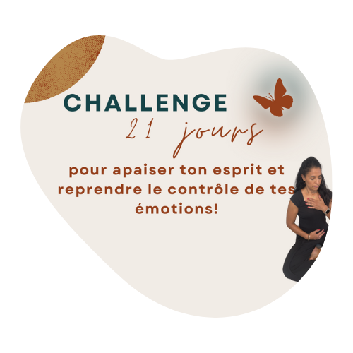 challenge 21 jour pour apaiser ton esprit reprendre le pouvoir sur tes emotions